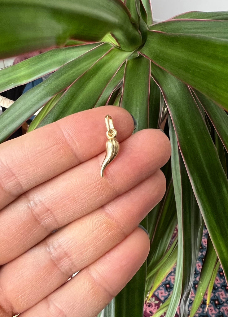 Woman holding a Cornicello charm by Lico Jewelry, a Montreal based company, with fingers and a beautiful green plant in the background.